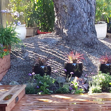 Front entry in process