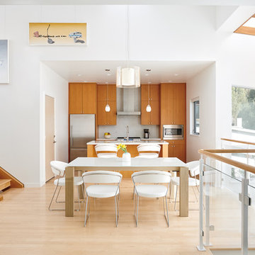 Oakland Hills Modern