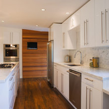Condo Kitchen