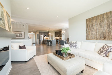 Living room - modern living room idea in Other
