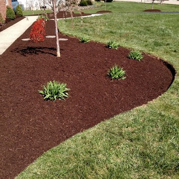 Sidewalk and Landscaping