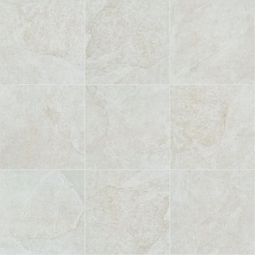 Shaw 224TS Crown 13 - 13" Square Floor and Wall Tile - Matte - White