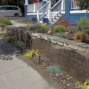 Bark Dust and Landscape Cleanup
