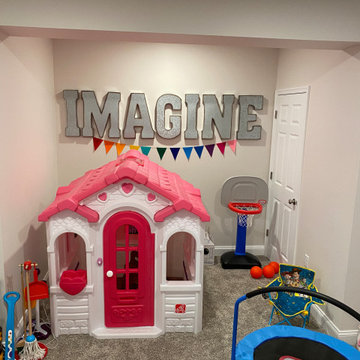Basement Remodel