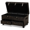 Cardenas Dark Brown Faux Leather Upholstered 2-Drawer Storage Trunk Ottoman