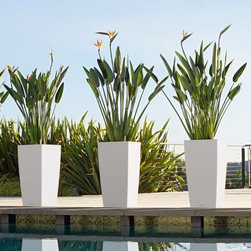 Modern Planter - Products