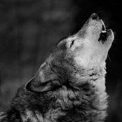 Oli Barraza's photo