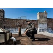 Gregory Porter's photo