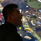 Neo Gao's photo