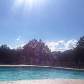 Sara Lamb's photo