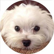 Janice Darif's photo