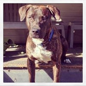 Kevin Stevenson's photo