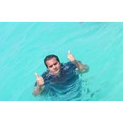 محمد المشد's photo