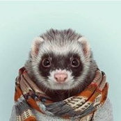 Bobby Waz's photo