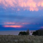 Xavier Taupin's photo