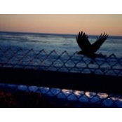 Kyle Warmack's photo