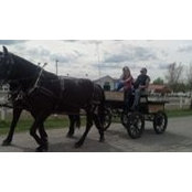 Marie Marcoux's photo