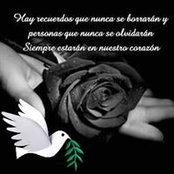 David Davila's photo