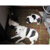 Sandy Bartolin's photo
