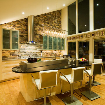 Edina Contemporary Kitchen Remodel