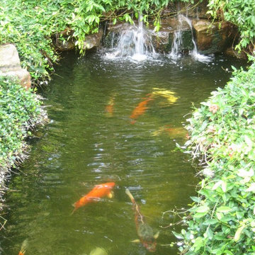 Koi Ponds
