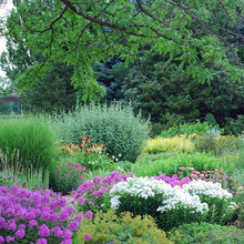 plantings