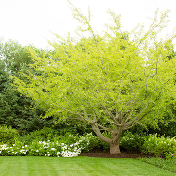 Sagaponack Estate
