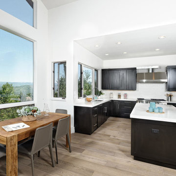 Aspen, Colorado Transitional Residence-Alpine White Oak