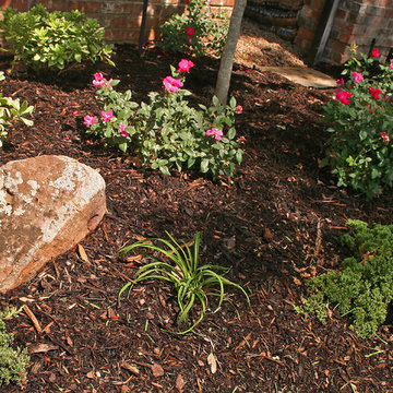 Flowerbeds and Backyard Makeover