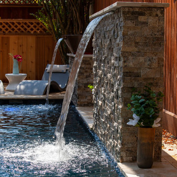 Lap Pool | Houston, TX