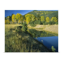 Art with Depth