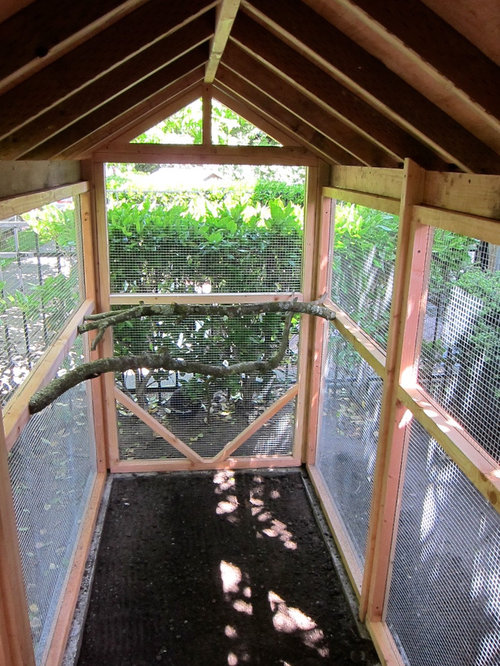 City chicken coop 