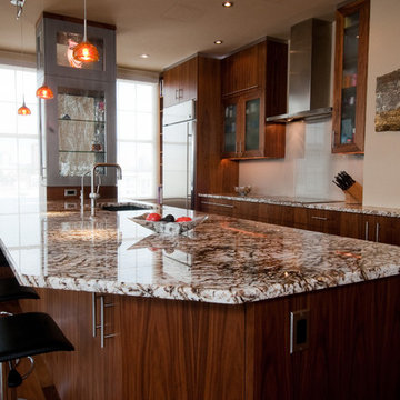 HIGH RISE KITCHEN REMODEL - Contemporary