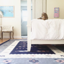 Pets in Design Photos