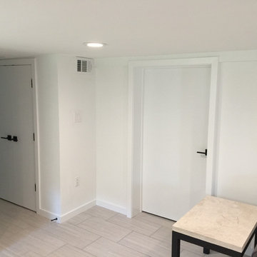 Del Ray Basement