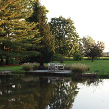 Pond Side Home for a Relocated Tree