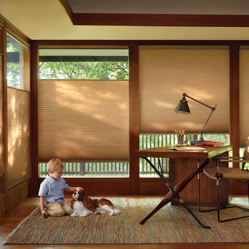 Hunter Douglas Duette® Honeycomb Shade