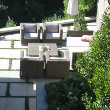 Simple Terrace Garden in Laguna Beach
