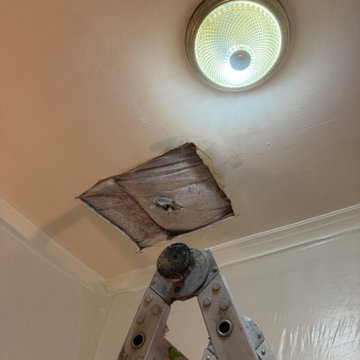 Blown In and Attic Insulation