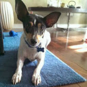 Paul Leung's photo