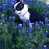 Beverly Warlick's photo