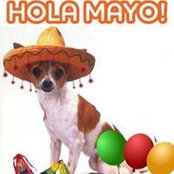 Lucia Castañeda's photo