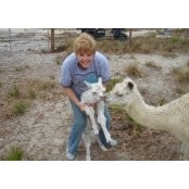 Donna Derry's photo