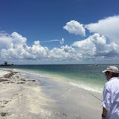 Foto von Bill Higgins