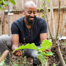 Suivez le Guide : Un petit jardin potager bio et gourmand à Londres