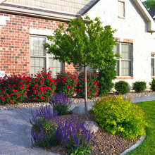 landscaping outdoor