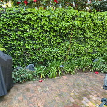 Palo Alto | No Space Too Small to Transform