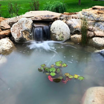 Building a Small Backyard Pond