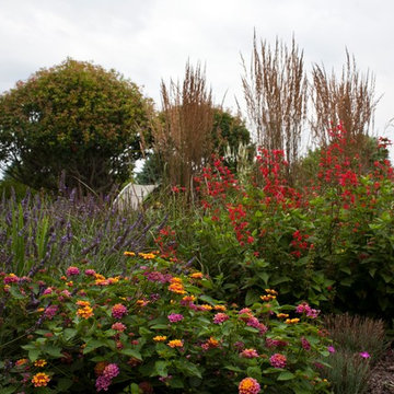 Deer Resistant Garden