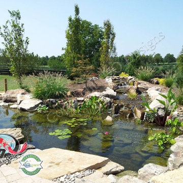 KOI Pond, Backyard Pond & Small Pond Ideas for your Kentucky Landscape